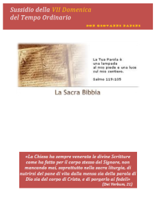 15 - Domenica VII - 23 febbraio 2014