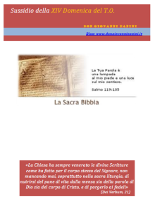 36 - XIV domenica T.O. - 6 luglio 2014