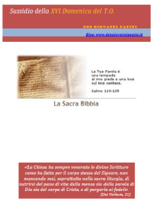 38 - XVI domenica T.O. - 20 luglio 2014