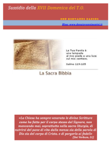 40 - XVIII domenica T.O. - 3 agosto 2014