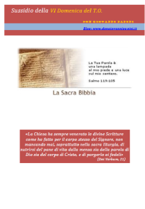 14 -  VI Domenica T.O.- 15 febbraio 2015