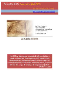 28 -  XI Domenica T.O. - 14 giugno 2015