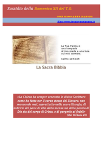 29 -  XII Domenica T.O. - 21 giugno 2015
