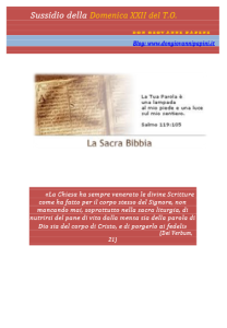 39 -  XXII Domenica T.O. - 30 agosto 2015