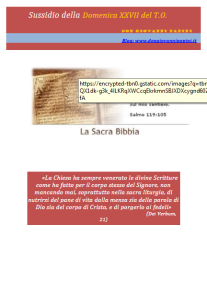 44 -  XXVII Domenica T.O. - 4 ottobre 2015